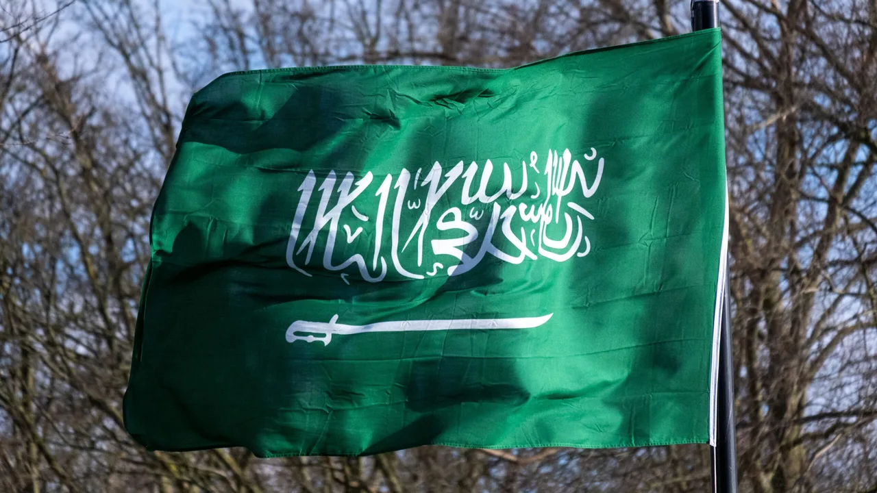 مصر والسعودية يتألقان معًا في بطولة كأس العالم لكرة اليد
